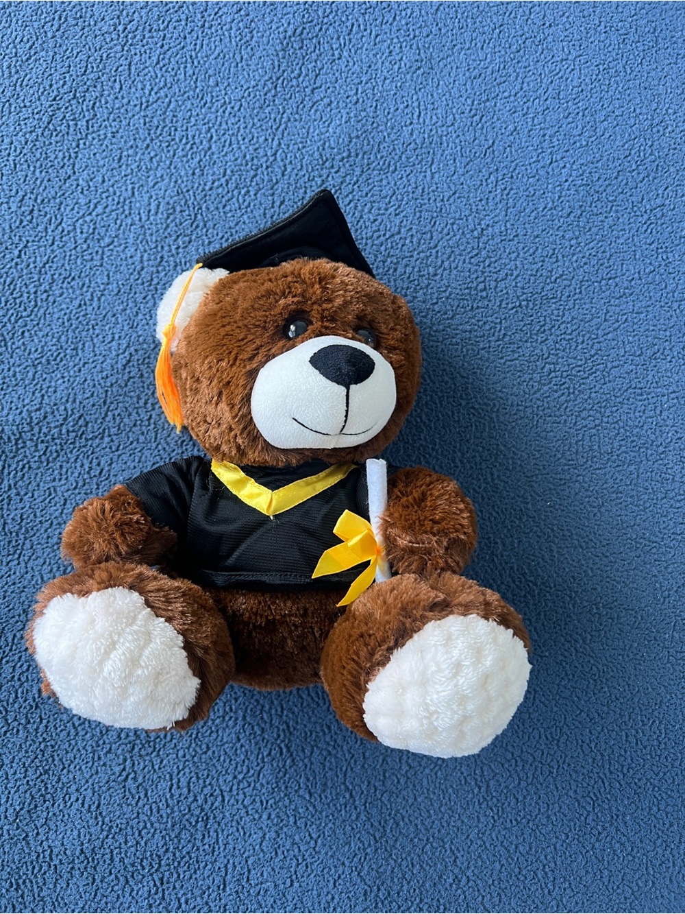 Teddy Bear Graduation